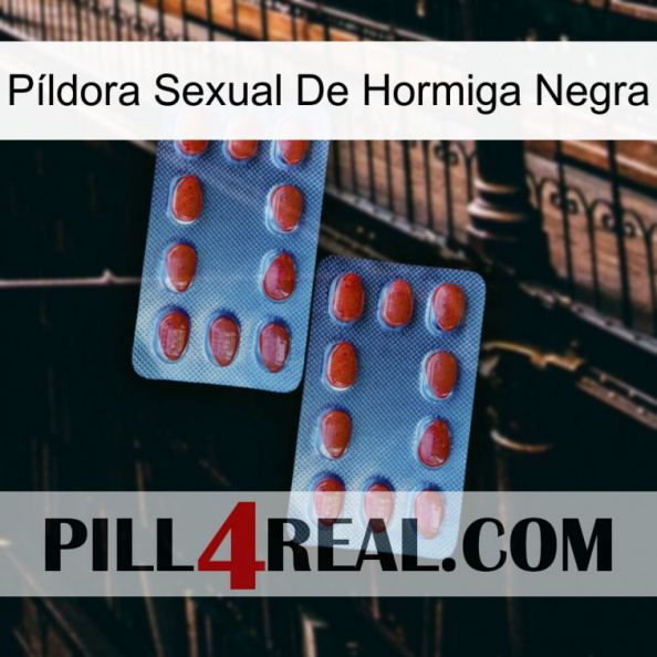 Píldora Sexual De Hormiga Negra 05.jpg